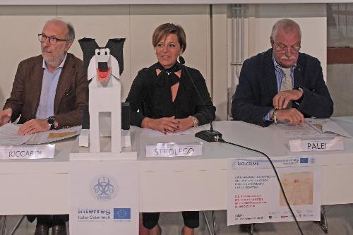 Il vicegovernatore con delega alla Salute del Friuli Venezia Giulia, Riccardo Riccardi, interviene all'apertura delle due giornate di attività di formazione del corso Bio-Crime a Trieste riservato a pubblici ufficiali e forze dell'ordine, all'interno di un progetto europeo di cooperazione nell'ambito dell'Interreg Italia-Austria. Alla sua destra il console onorario d'Austria Sabrina Strolego e Manlio Palei, direttore del Servizio regionale sanità pubblica veterinaria.